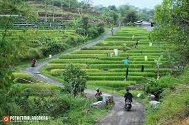 Desa Barudua Garut
