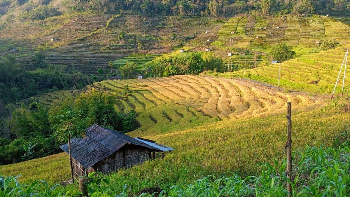 Desa kopidil selatan