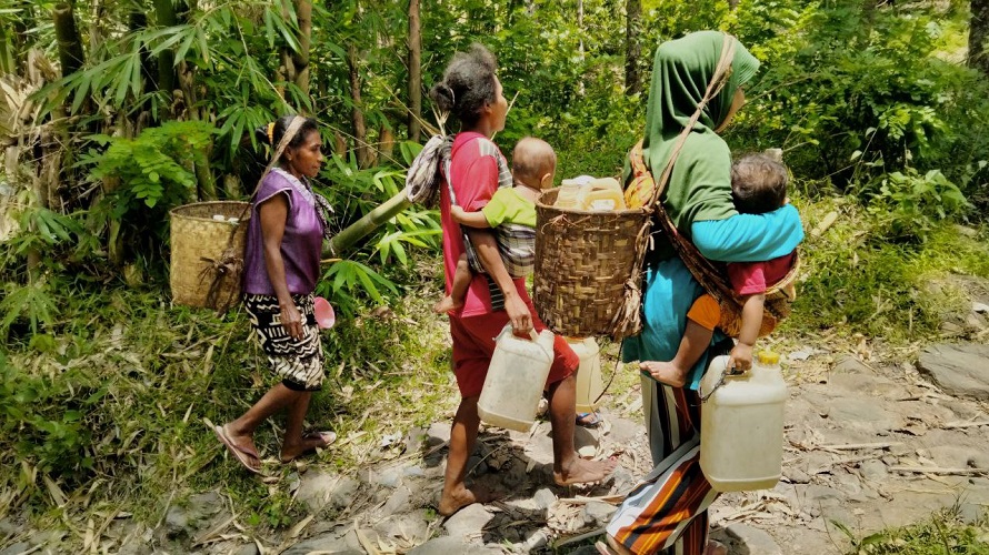 Desa Pintumas